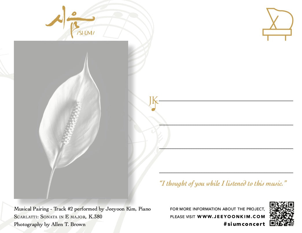 Album 시음/si-úm/- Postcards (11 each), Poem (11 each), and Download Card image 3